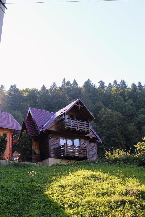 Cottage "Karpatske Shale" Jaremcse Kültér fotó
