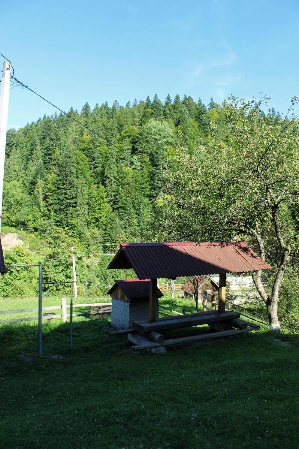 Cottage "Karpatske Shale" Jaremcse Kültér fotó