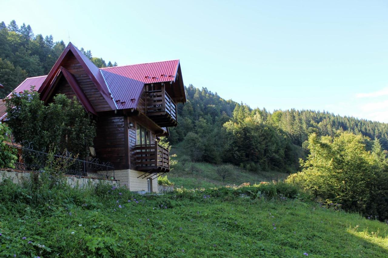 Cottage "Karpatske Shale" Jaremcse Kültér fotó