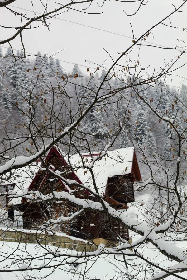 Cottage "Karpatske Shale" Jaremcse Kültér fotó