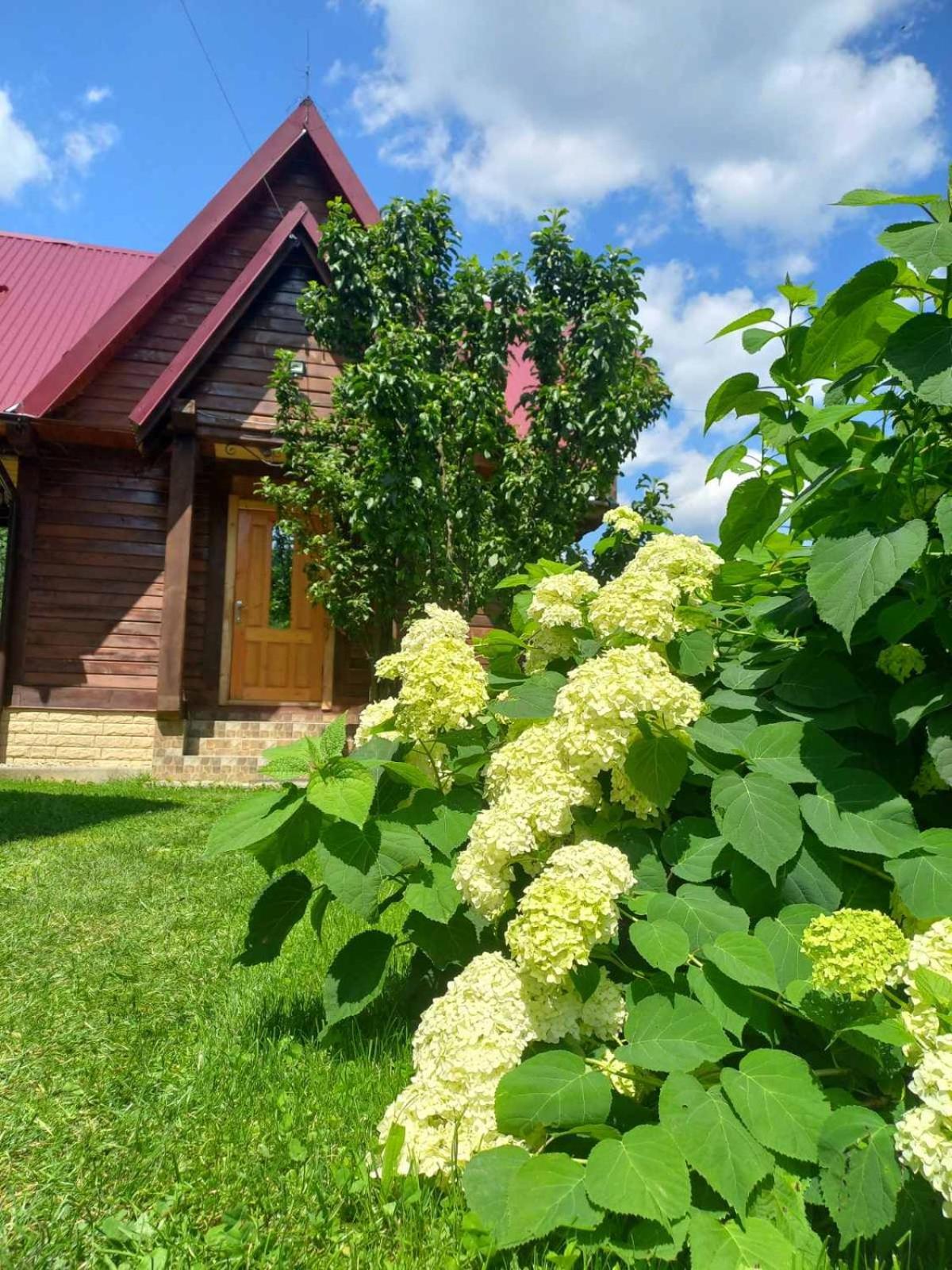 Cottage "Karpatske Shale" Jaremcse Kültér fotó